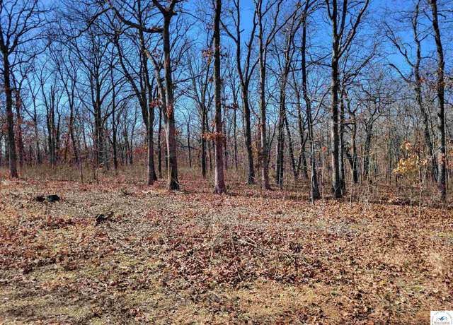 Property at Anne Dr, Edwards, MO 65326