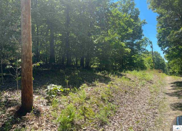 Property at TBD Wapiti Ln, Edwards, MO 65326