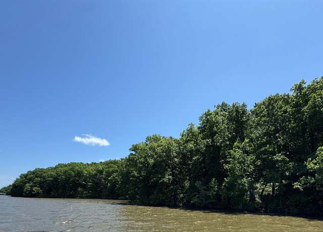 Property at 94 Acres M/L M Hwy, Edwards, MO 65326