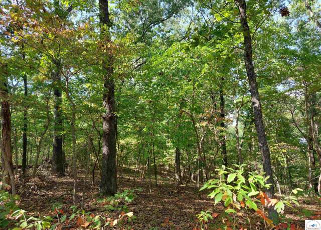 Property at 30915 Broken Rd, Stover, MO 65078