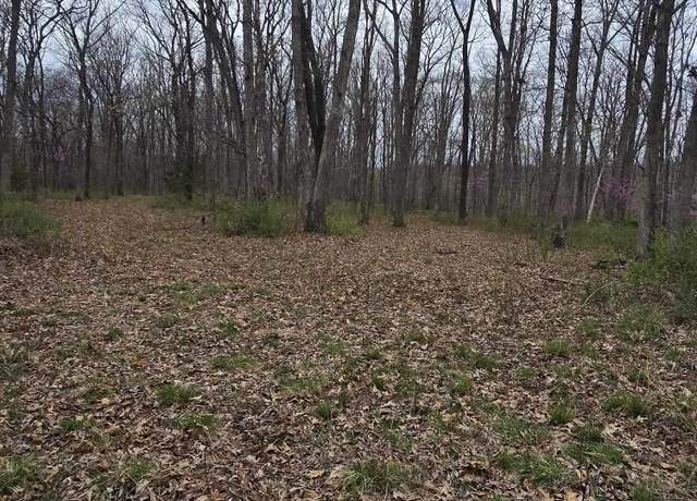 Property at TBD Battle Ln, Syracuse, MO 65354