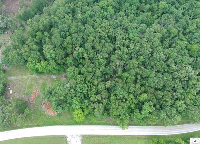 Property at 881 SE 1163 Private Road, Deepwater, MO 64740