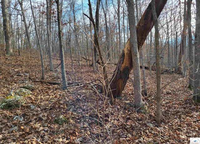 Property at Lazy Acres, Edwards, MO 65326