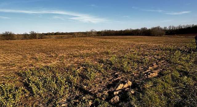 Photo of 32 +/- acres NE 800 Rd, Lowry City, MO 64763