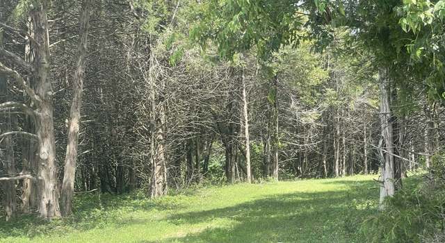 Photo of 14767 A Hwy, Cole Camp, MO 65325