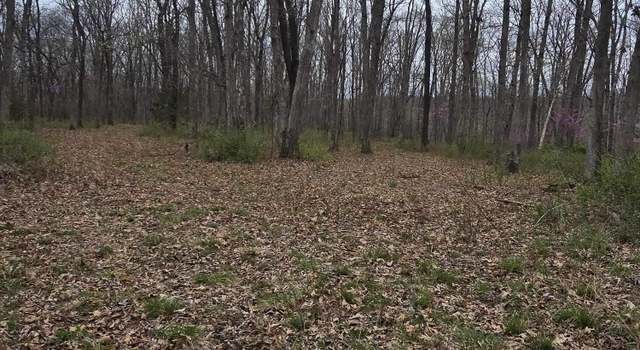 Photo of TBD Battle Ln, Syracuse, MO 65354
