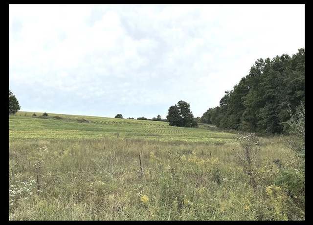 Property at 000 S Side St Hwy T, Excello, MO 65247