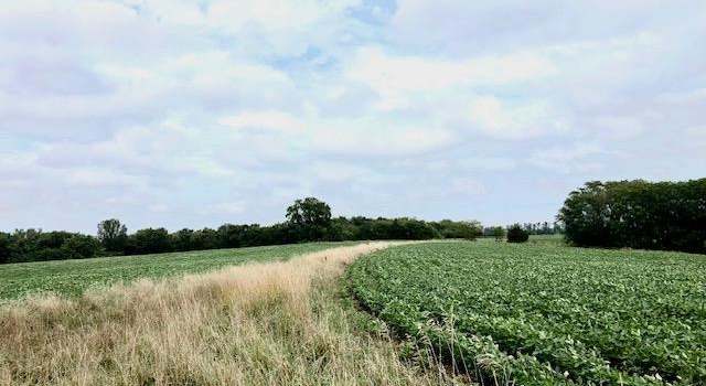 Photo of 22472 State Highway D, Lancaster, MO 63548