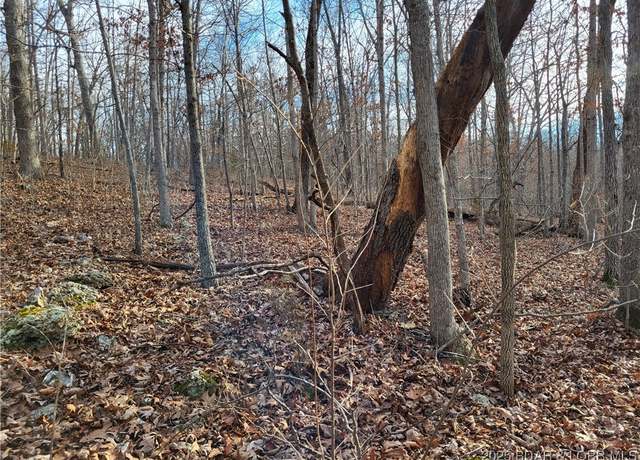 Property at Lazy Acres Lots Rd, Edwards, MO 65326