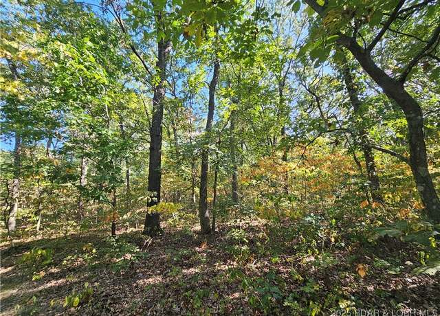 Property at Tract D Beechnut Rd, Stover, MO 65078