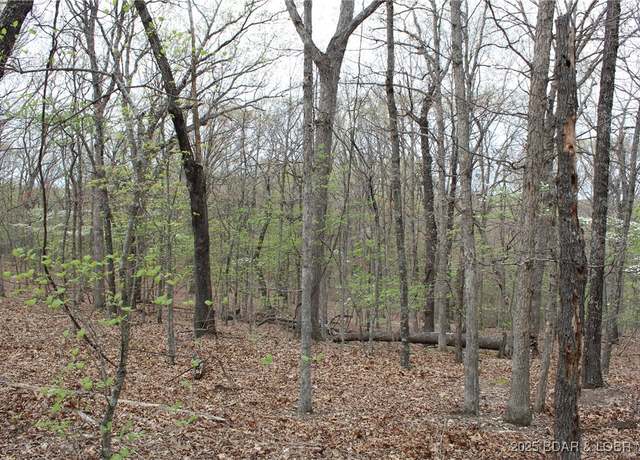 Property at TBD State Road F, Sunrise Beach, MO 65079