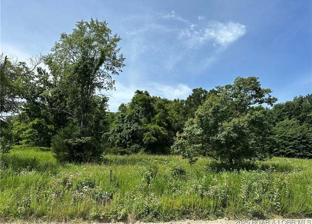 Property at LOT 4R Lick Creek Rd, Edwards, MO 65326