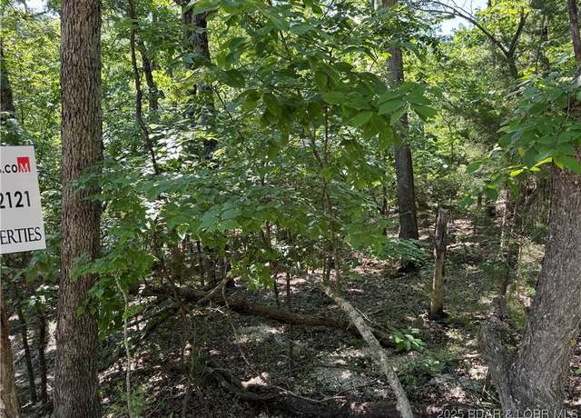 Property at Undisclosed address, Camdenton, MO 65020