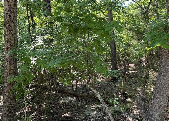 Property at Undisclosed address, Camdenton, MO 65020