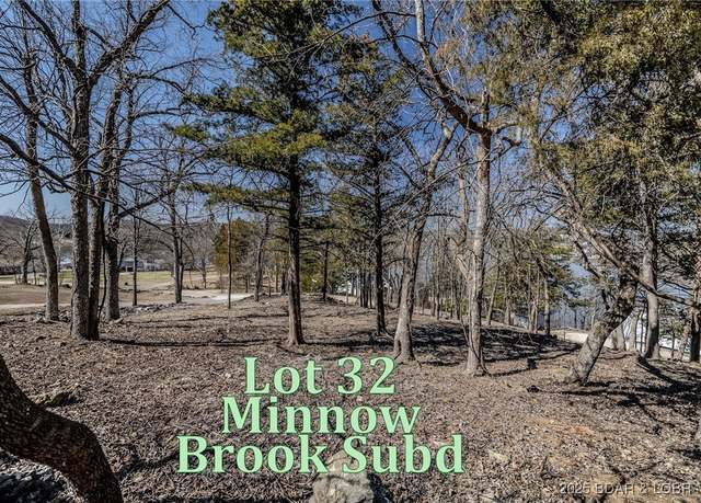Property at TBD Eagles Landing Ln, Camdenton, MO 65020