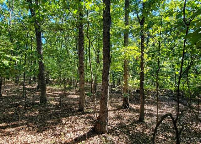 Property at Lot #670 Grand Point Blvd, Porto Cima, MO 65079