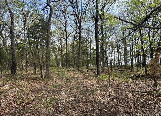 Property at 8.54 acres Rasa Dr, Stover, MO 65078