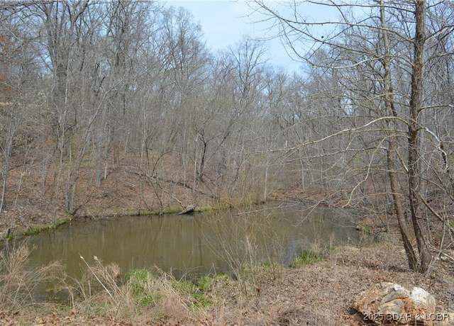 Property at Tract 514 Bobcat Rd, Stover, MO 65078