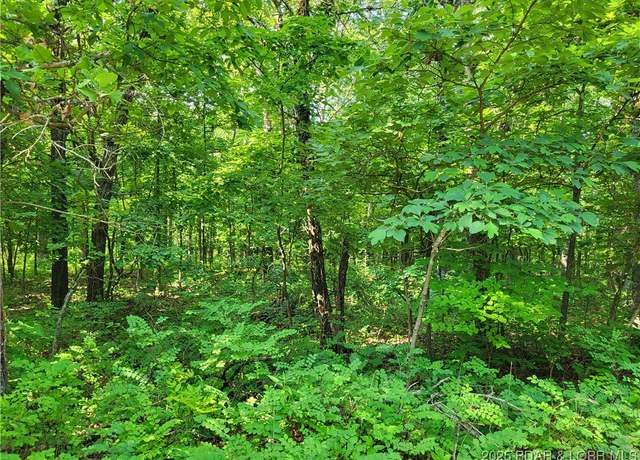 Property at Kean Ln Lot 2371, Edwards, MO 65326