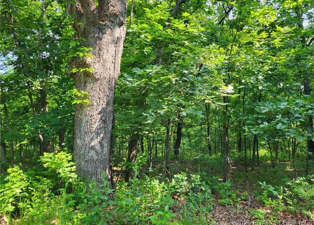 Property at Rachael Pl Lot 2372, Edwards, MO 65326