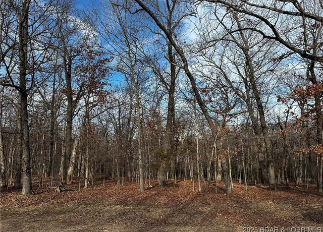 Property at 314 Grand Point Blvd, Porto Cima, MO 65079