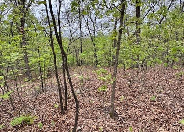 Property at TBD Tract 2 Side Kick Dr, Camdenton, MO 65020