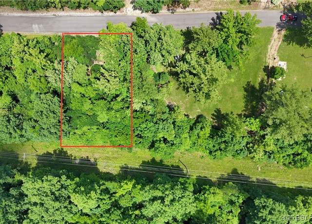 Property at TBD Red Hollow Rd, Gravois Mills, MO 65037