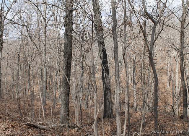 Property at Tim Rd #1903, Edwards, MO 65326