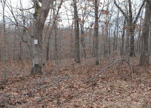 Property at Ferro Ln #2016, Edwards, MO 65326