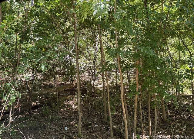 Property at TBD Lot #4 Skipper Ln, Camdenton, MO 65020