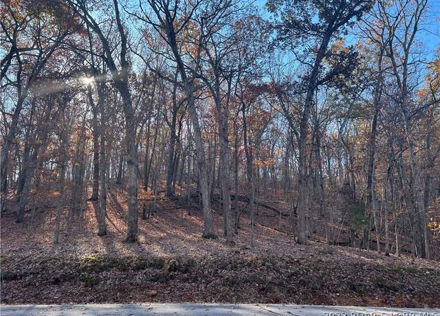 Property at LOT 46 Dogwood Rd, Four Seasons, MO 65049