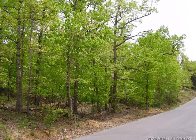 Property at Lot #22 Layman Ave, Camdenton, MO 65020