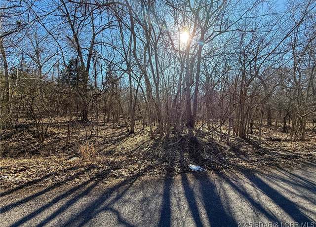 Property at 30763 Ottersway Rd, Gravois Mills, MO 65037
