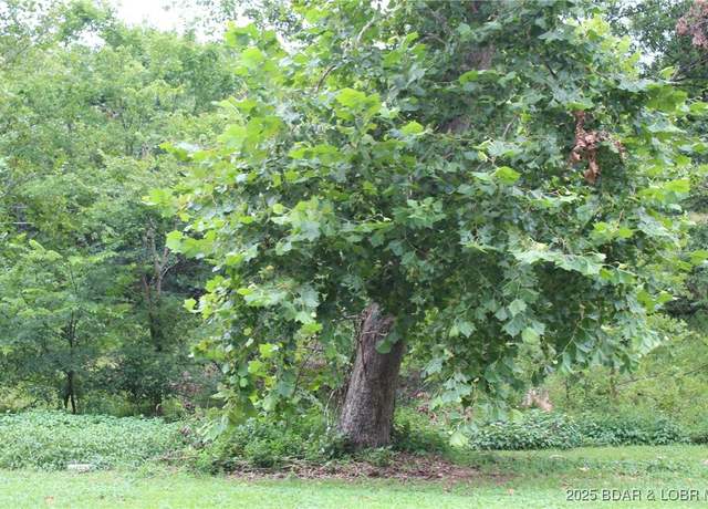 Property at TBD Pinkie Ln, Sunrise Beach, MO 65079