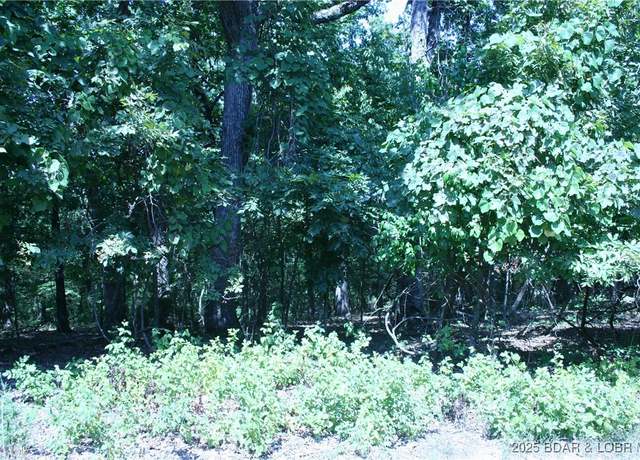 Property at Lot 770 Cherokee Rd, Lake Ozark, MO 65049