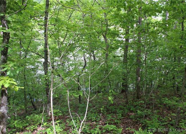 Property at TBD Butler Rd, Gravois Mills, MO 65037
