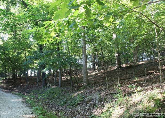 Property at Karen Rd, Gravois Mills, MO 65037