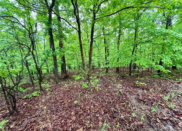Property at Lot A SW Hwy 5, Sunrise Beach, MO 65079