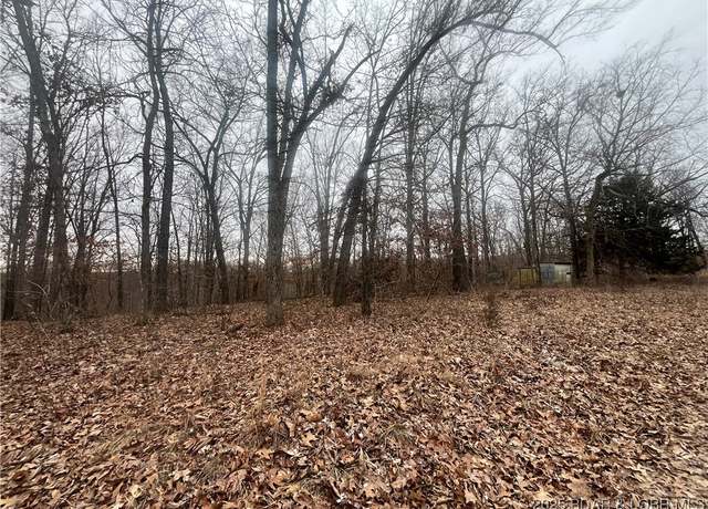 Property at 11798 Alyssa Rd, Versailles, MO 65084