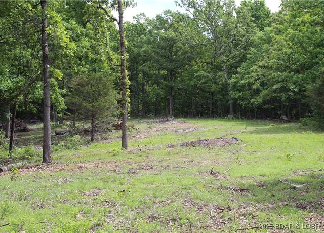 Property at Whitetail Dream Ln, Montreal, MO 65591