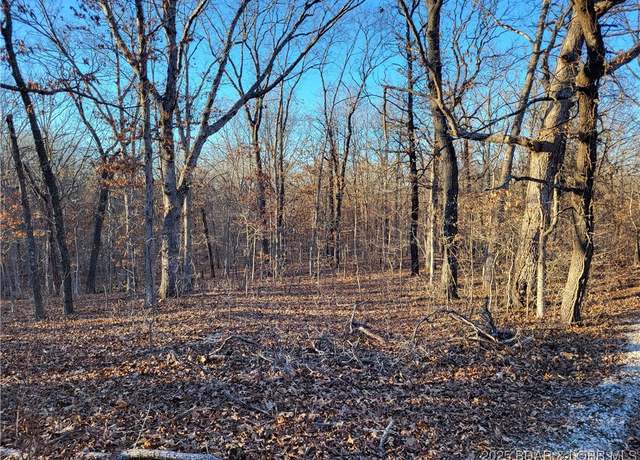 Property at Wenzel Pl Unit 216,217,218, & 219, Edwards, MO 65326