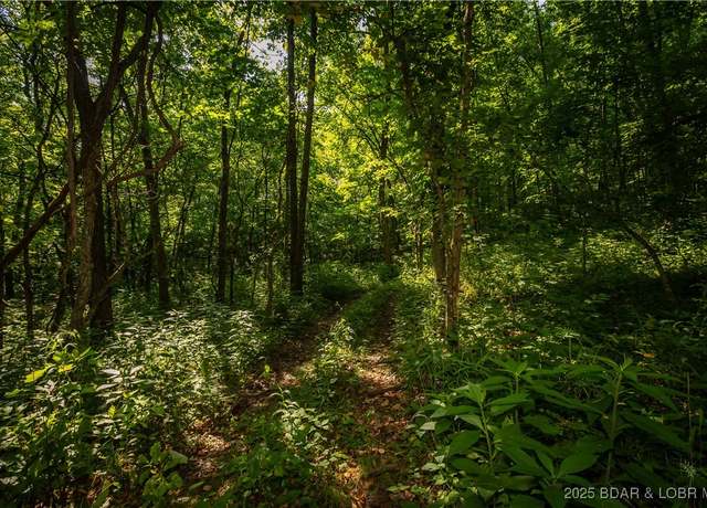 Property at Beechnut, Stover, MO 65078