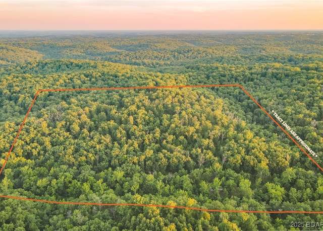 Property at 37.42 TBD Broads Branch Rd, Macks Creek, MO 65786