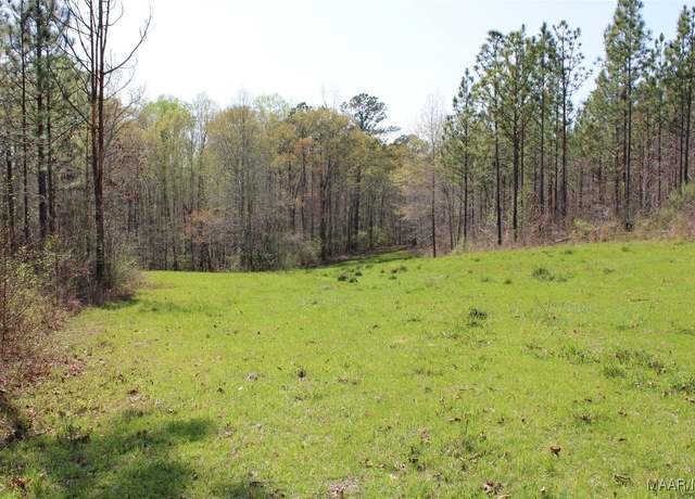 Property at 0 Danny Holman Rd, Rockford, AL 35136
