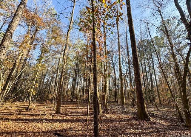 Property at 1 Jug Factory Rd, Redland, AL 36093