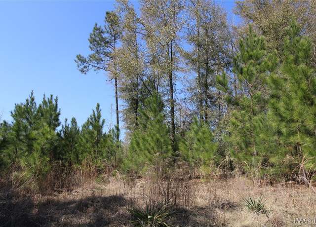 Property at 0 Toles Rd Unit Parcel 1, Grady, AL 36036