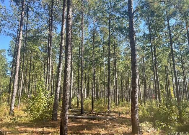 Property at 0 Hobbie Rd, Ramer, AL 36067