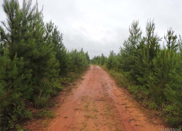 Property at 0 Montezuma Rd, Greenville, AL 36037