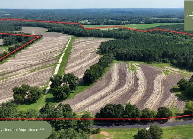 Property at 216 County Road 201 Rd, Ariton, AL 36010