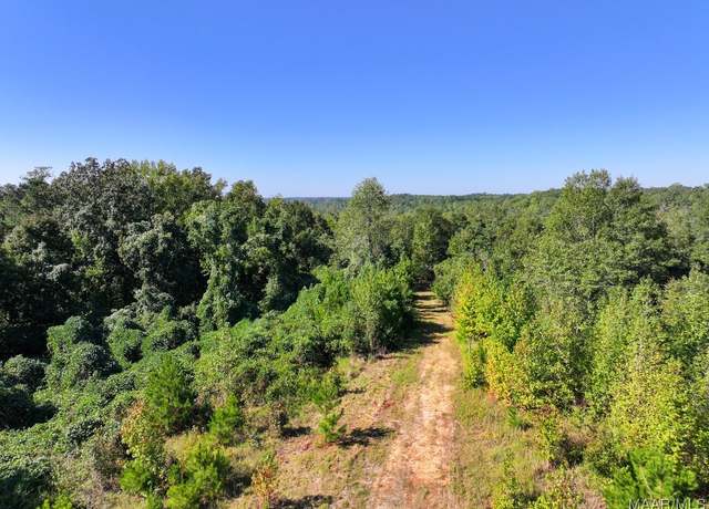 Property at 0 Highway 259 Hwy, Alexander City, AL 35010